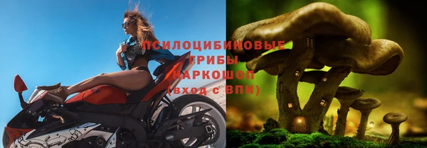 дурь Кодинск