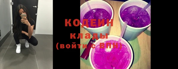 дурь Кодинск