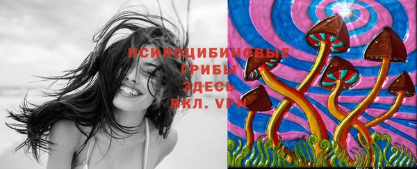 дурь Кодинск