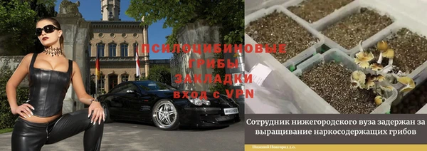 дурь Кодинск